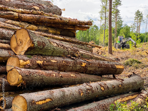 Pile of logs in front of forestry harvester. Clearcutting. Kalhygge. Karlstad, Värmland, Sweden.