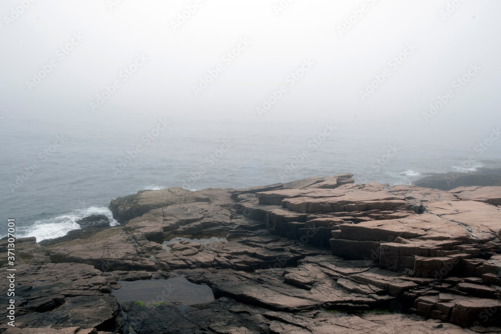 Fototapeta premium Foggy morning during Ocean Path hike, Acadia National Park, Bar Harbor,Maine, USA.