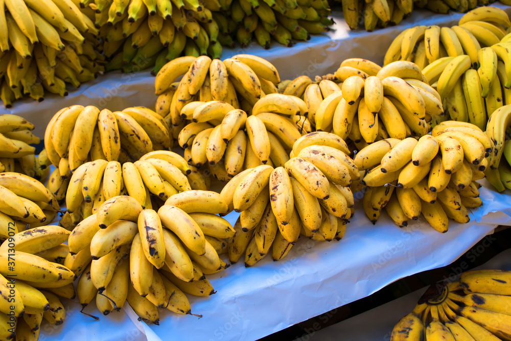 Cluster of Fresh Natural Bananas at the Market