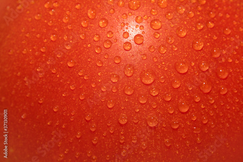 Macro shot of water drops on red tomato.