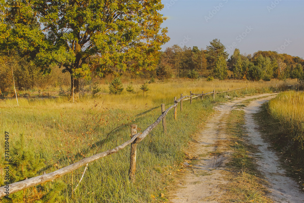 Fototapeta premium path in the field. wooden rustic fence