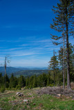 View from Pancir mountain at Sumava national park, Czech republic