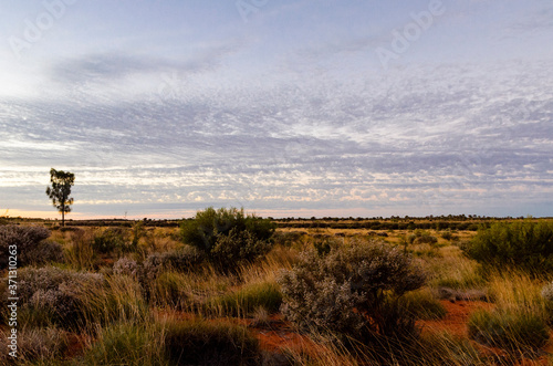 Australian Outback in the Sunset