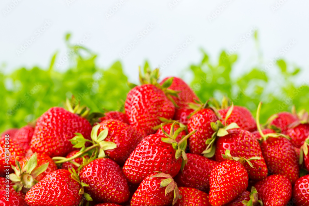 Ripe strawberries ready for eating in wooden boxes. Red ripe strawberries closeup. Selective focus. You can use as the background for any of Your project. Ripe strawberries ready for eating in wooden boxes. Red ripe strawberries closeup. Selective focus. You can use as the background for any of Your project.
