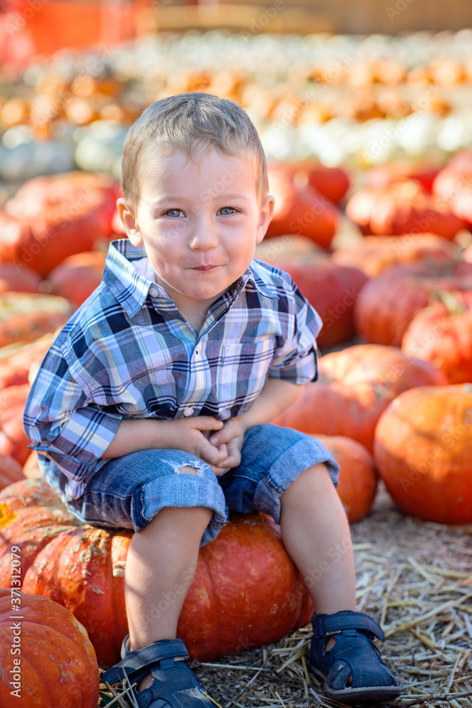 Fototapeta premium boy at pumpkin patch