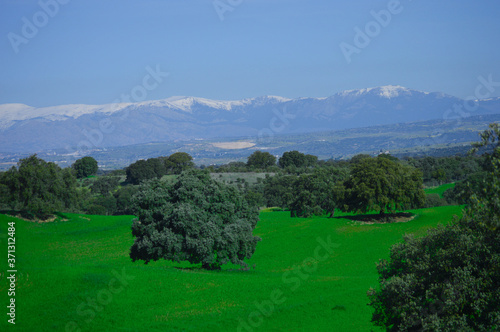 paisaje verde 