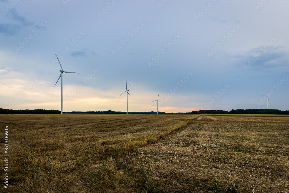Windmills on a harvested grain field