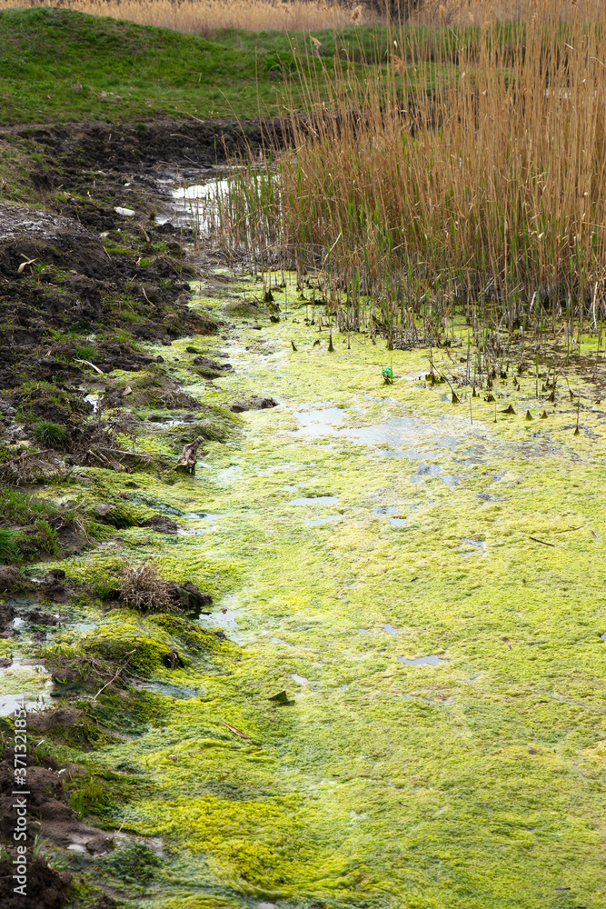 Sewage drains into the river, the sea, the lake. Environmental pollution. Wastewater, ecological catastrophe Sewage drains into the river, the sea, the lake. Environmental pollution. Wastewater, ecological catastrophe