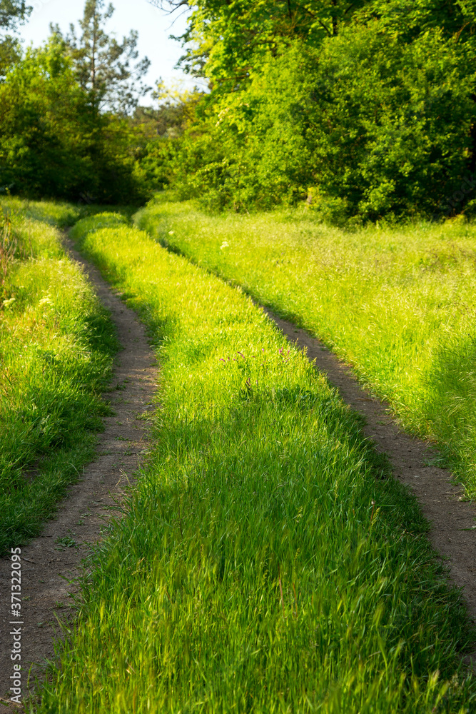 Beautiful summer landscape country road. Road, overgrown with lush green grass stretches into distance forest. Attractive forest landscapes. As background for calendars, cards, any your projects. Beautiful summer landscape country road. Road, overgrown with lush green grass stretches into distance forest. Attractive forest landscapes. As background for calendars, cards, any your projects.