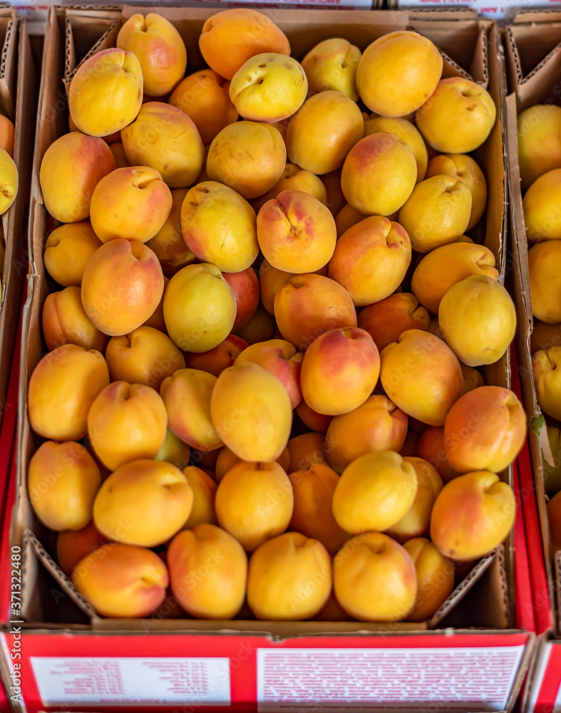 Fresh apricots are sold in crates in the market in Malatya city
