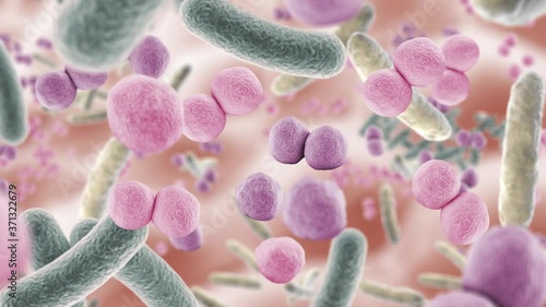 Animation floating through good microbes in the intestine, healthy microbiome photo