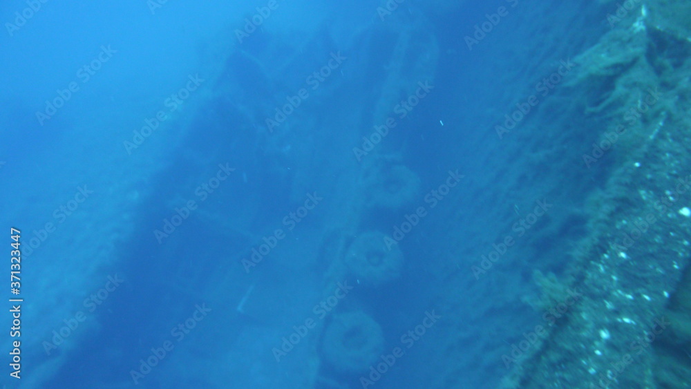 Fototapeta premium Unter Wasser