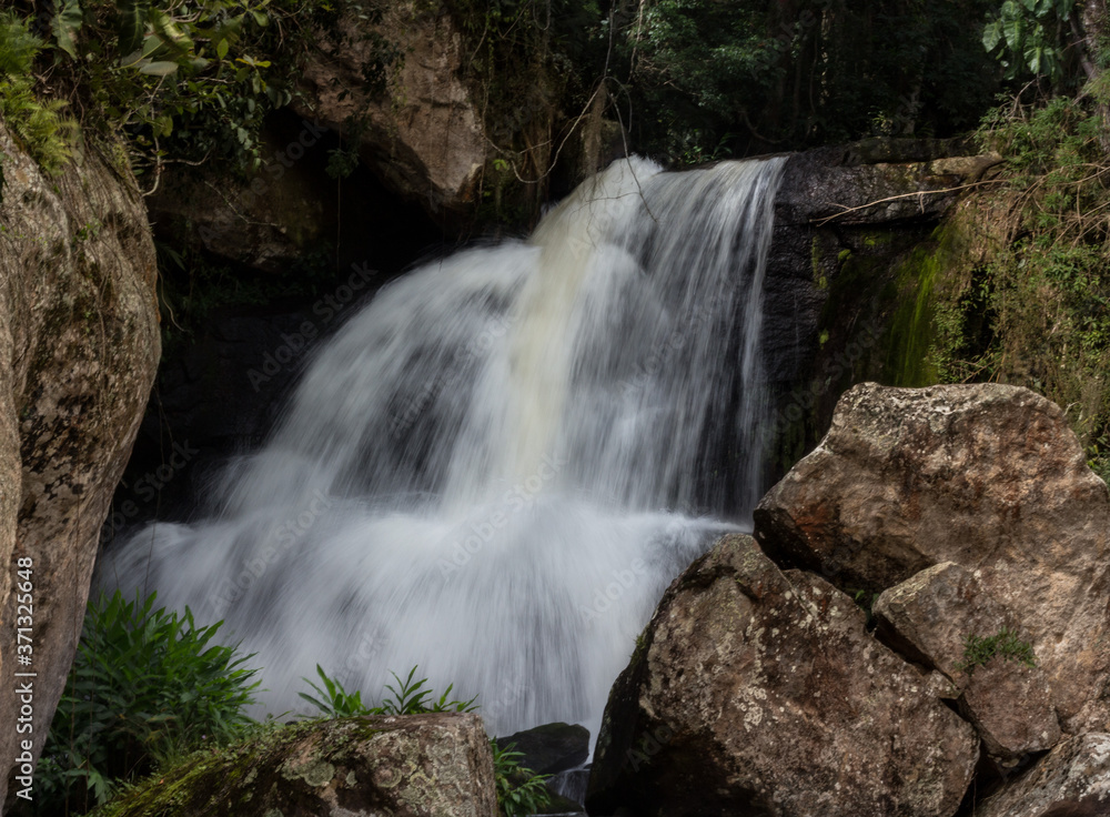 Obraz premium waterfall in the forest