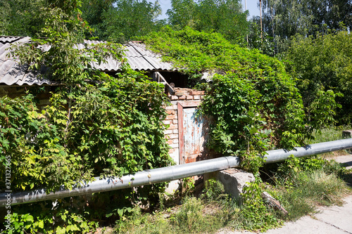 Abandoned city Chernobyl radioactive contamination. Overgrown trees and plants of streets of towns and villages in Chernobyl zone. People left city during disaster. Catastrophe at nuclear power plant photo