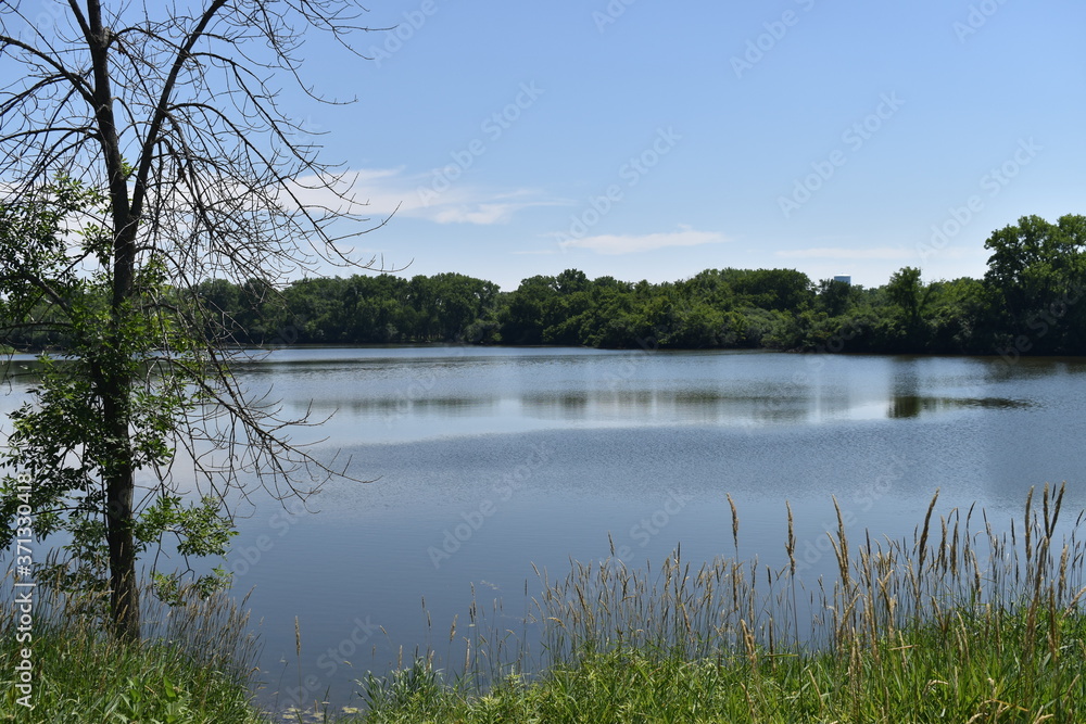 Fototapeta premium lake in the park