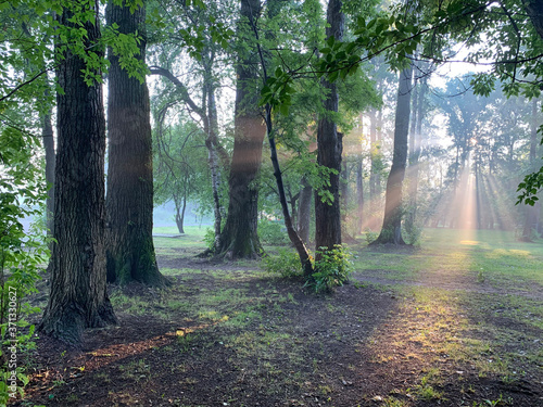 Moscow region, the city of Balashikha. Zarechnaya park in summer morning photo