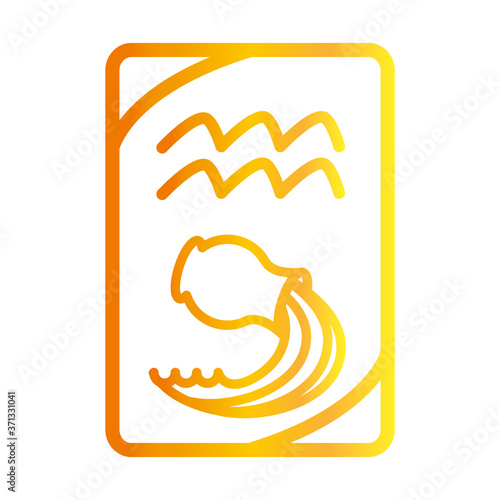 zodiac aquarius esoteric tarot prediction card gradient style icon