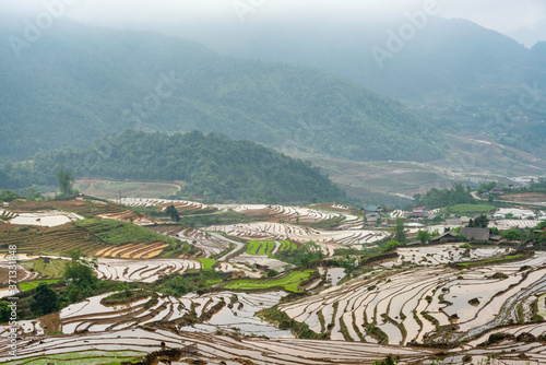 Rice field terraces. Mountain view in the clouds. Sapa, Lao Cai Province, north-west Vietnam