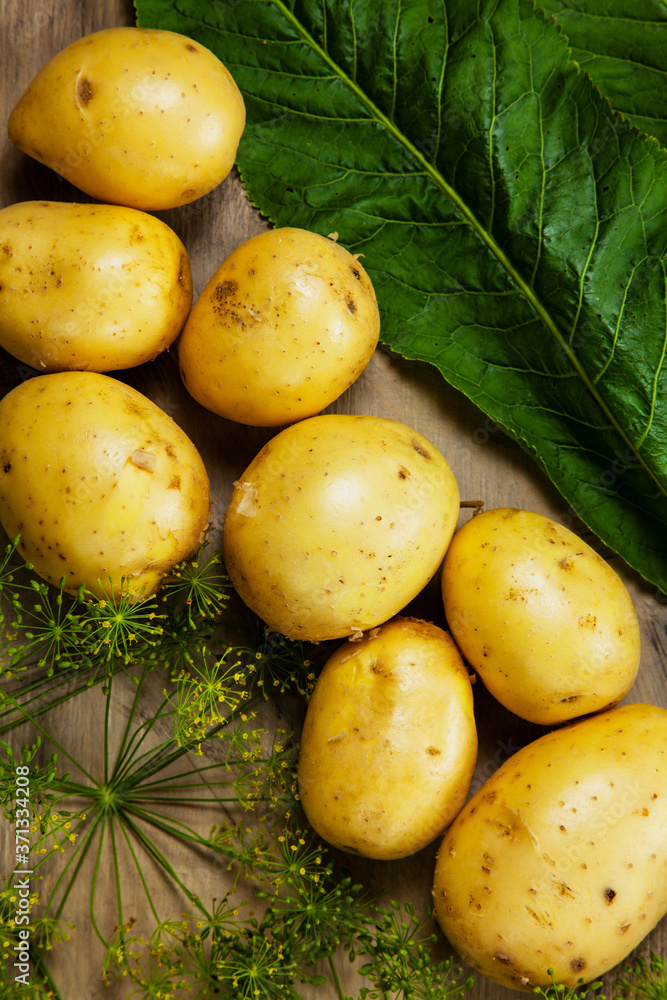 Potatoes, dill and horseradish leaf, fresh vegetables on the grey wood textured background. Potatoes, dill and horseradish leaf, fresh vegetables on the grey wood textured background.
