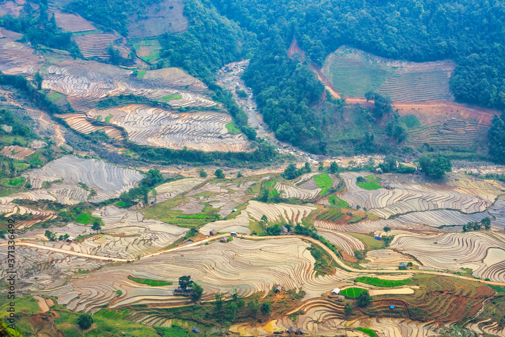 Beautiful terraced rice field in water pulling season in Y Ty, Bat Xat, Lao cai province in Vietnam Beautiful terraced rice field in water pulling season in Y Ty, Bat Xat, Lao cai province in Vietnam