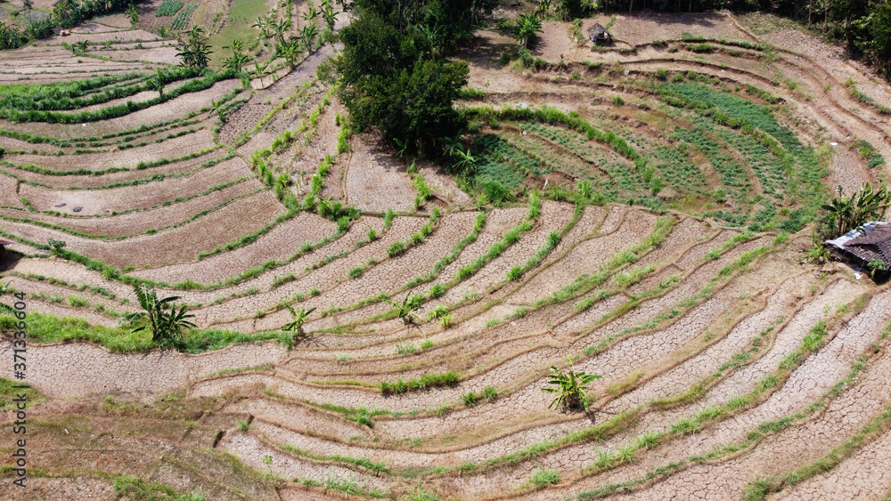 Aerial view of dry rice terraces during the dry season in Bantul Yogyakarta