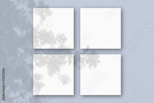 4 square sheets of white textured paper on the blue wall background. Mockup overlay with the plant shadows. Natural light casts shadows from an exotic plant. Flat lay, top view