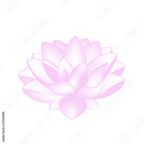 isolate lotus flower nature vector for design  © Natamon