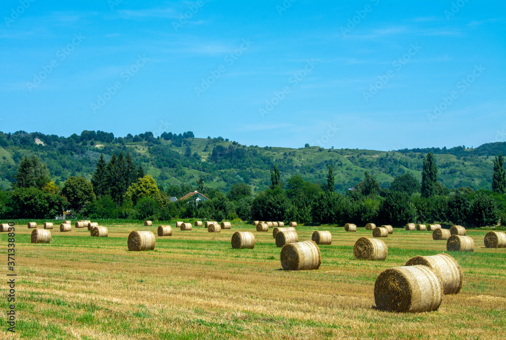 landscape on a field with round bales of straw