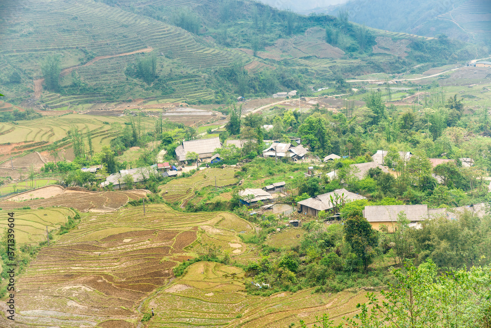 Rice field terraces. Mountain view in the clouds. Sapa, Lao Cai Province, north-west Vietnam