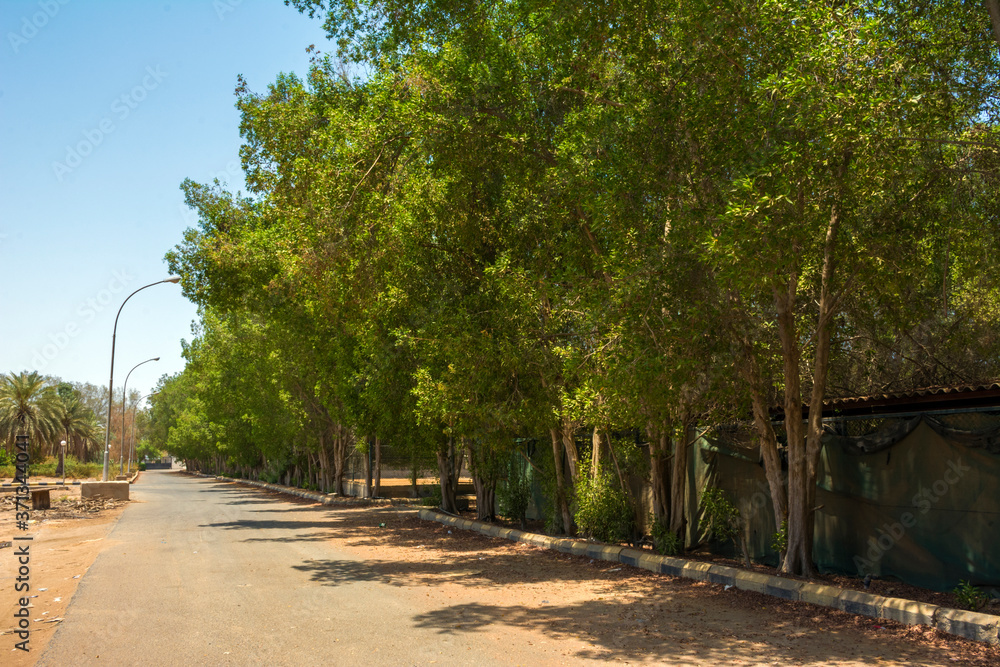 Road Road