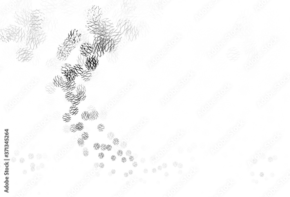 Obraz premium Light Gray vector background with circles, curves.
