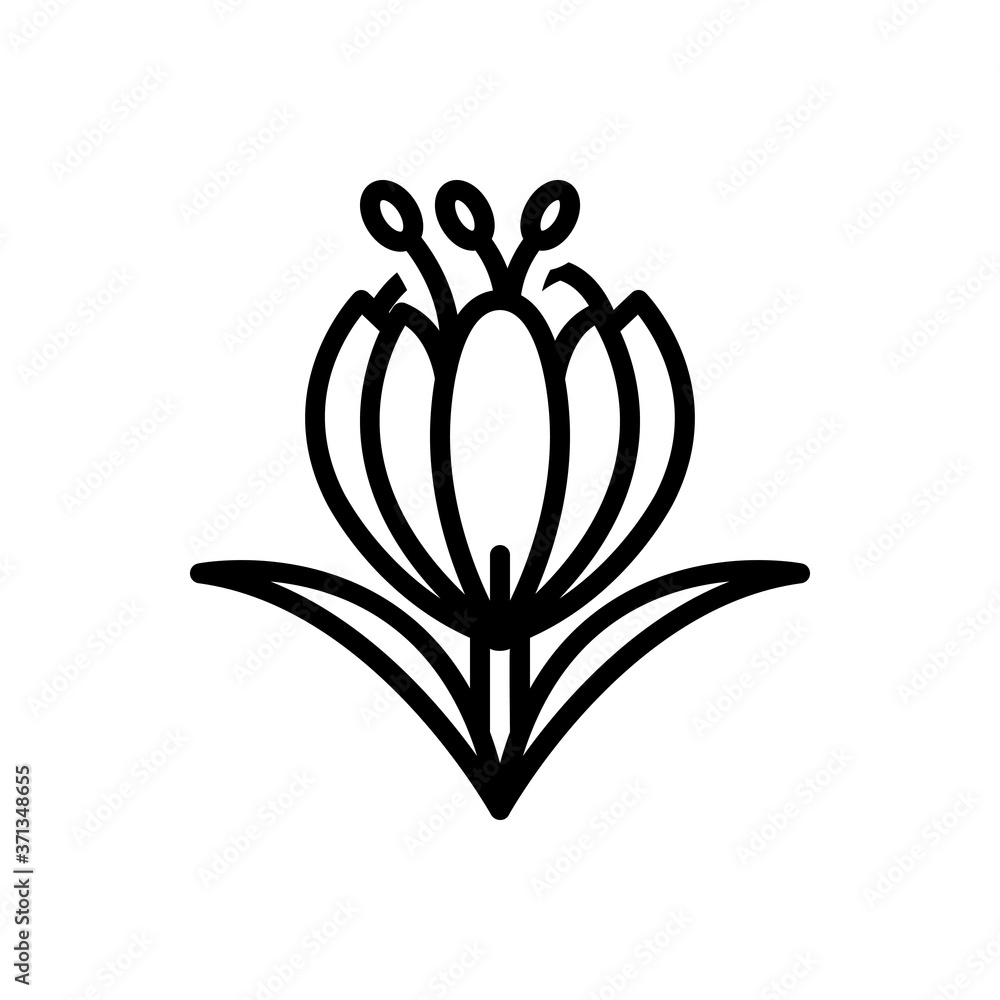 Black line icon for saffron Black line icon for saffron