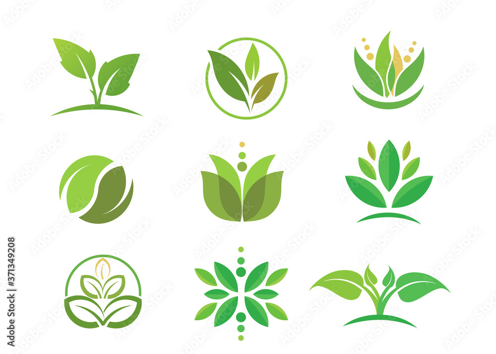 simple circle green Leaf logo vector . Bio nature green Eco vector symbols business logo template. Illustration of bio eco green, nature logo environment simple circle green Leaf logo vector . Bio nature green Eco vector symbols business logo template. Illustration of bio eco green, nature logo environment