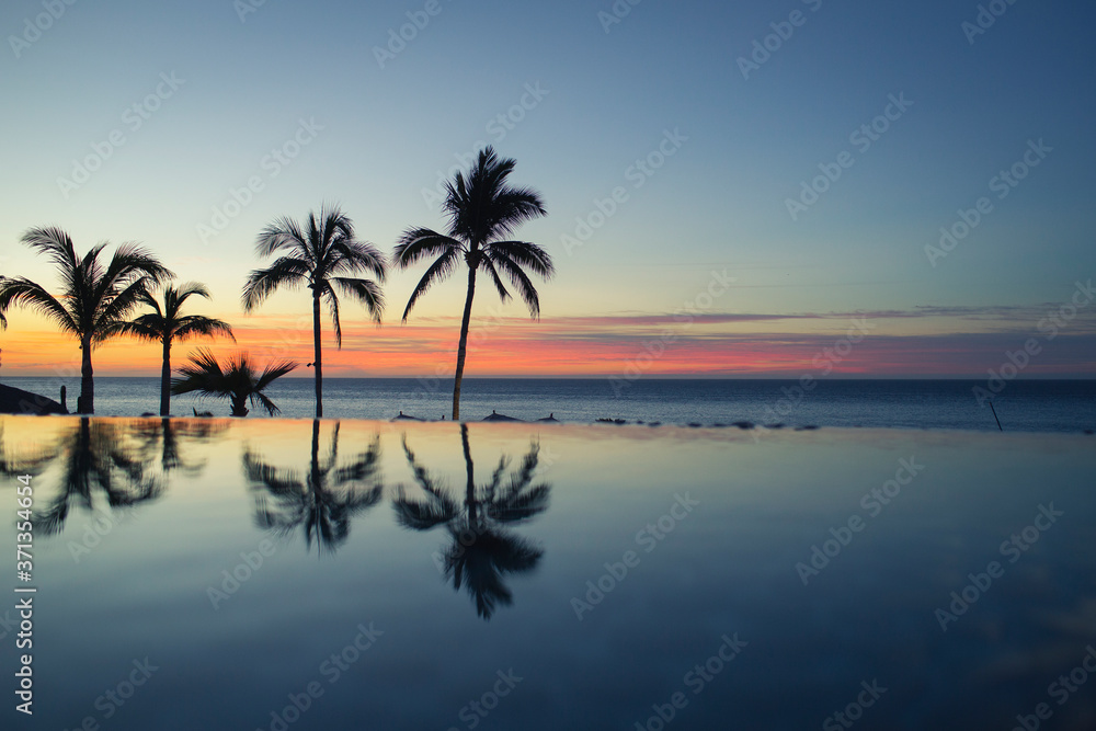 palm trees reflect at a beach resort