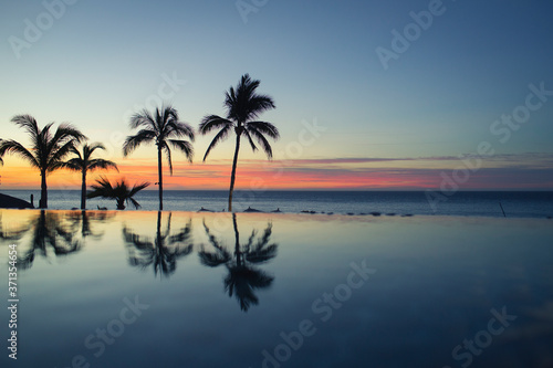 palm trees reflect at a beach resort © Ben