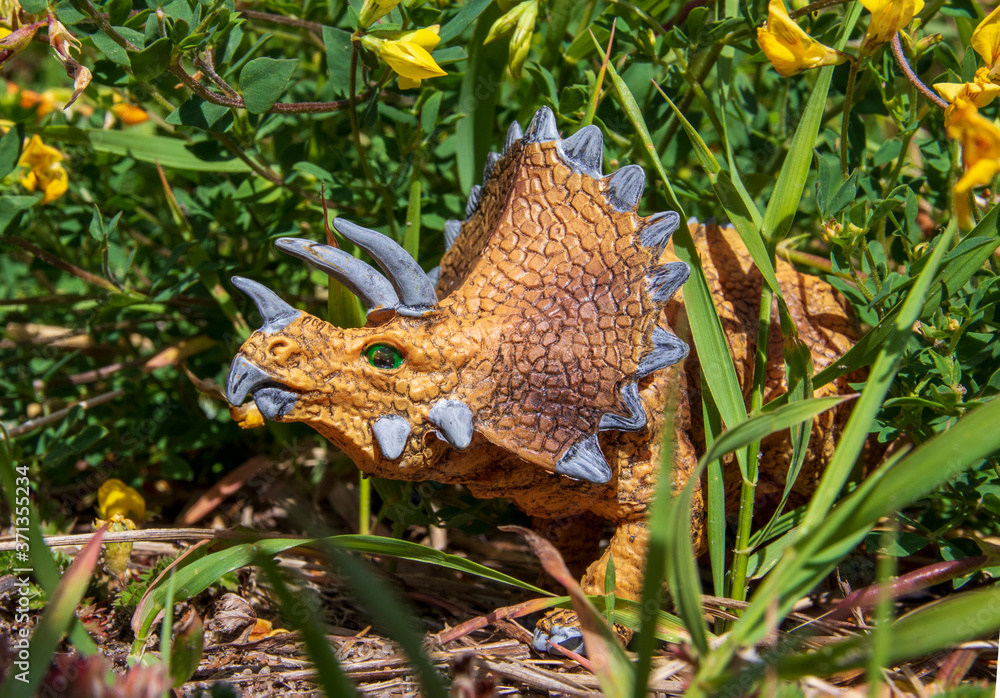 triceratops jurassic ancient extinct dinosaur animal triceratops jurassic ancient extinct dinosaur animal