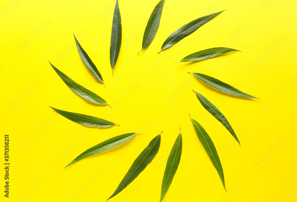 Frame made of green osier leaves on color background Frame made of green osier leaves on color background