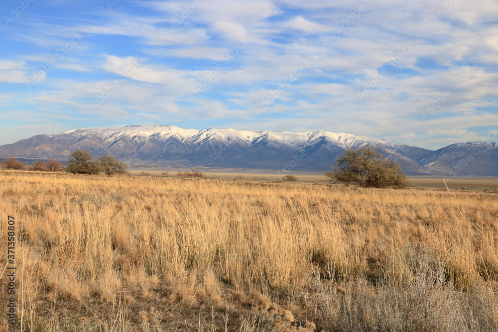 Landscape at Antelope Island surrounded by snowcapped mountains, Utah