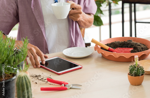 Wallpaper Mural Senior asian retirement old man in casual outfit doing a hobby with happy and relax enjoy drinking coffee and using tablet for online social in greenhouse garden farm Torontodigital.ca