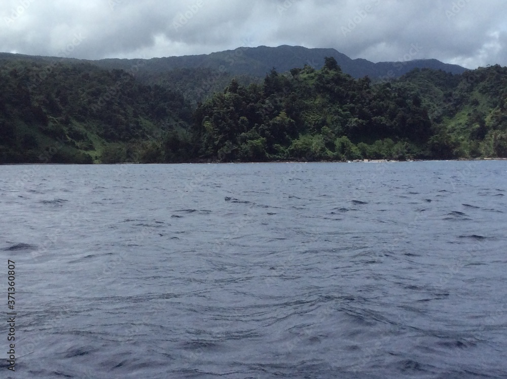 View from the lagoon on the coast of Taveuni Fiji in the Pacific ocean View from the lagoon on the coast of Taveuni Fiji in the Pacific ocean