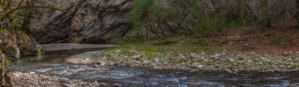 Fototapeta premium flowing creek with rocks stones while hiking panorama