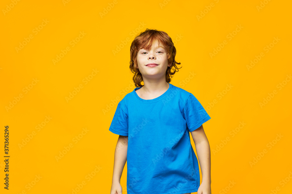 red-haired child freckles and a beautiful smile, free space red-haired child freckles and a beautiful smile, free space