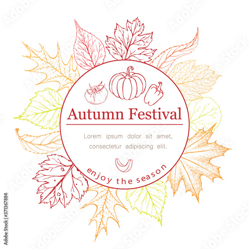 Autumn seasonal poster or banner with autumn leaves, vegetables and lettering in fall colors on white. Autumn greetings cards or corn festival invitation, flyer template. Vector autumn illustration