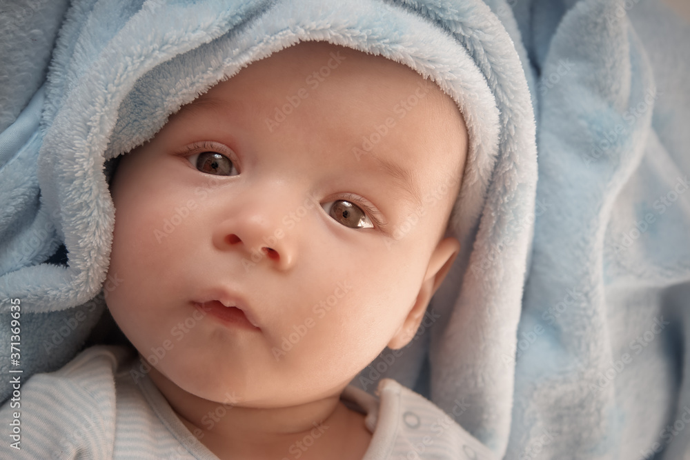 three month old baby wrapped in blue blanket three month old baby wrapped in blue blanket