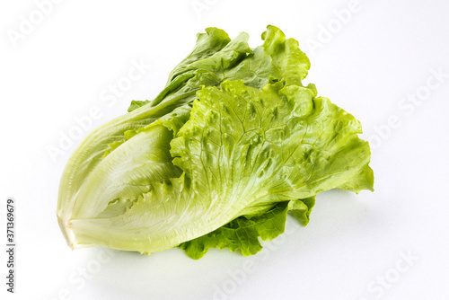 fresh green lettuce isolated on a white background