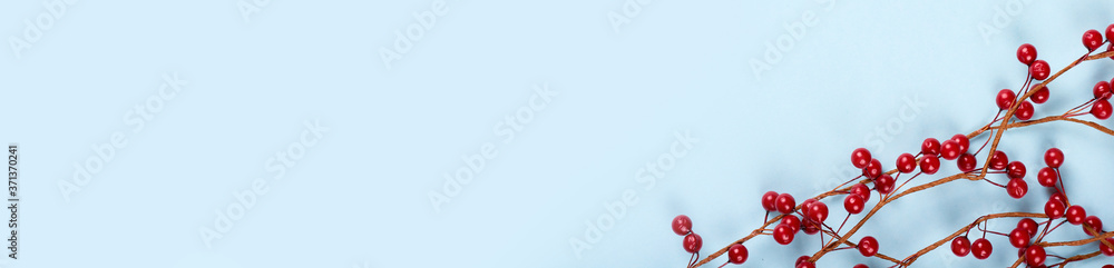 Red berries on blue background composition, flat lay photo, copy space template, banner. Red berries on blue background composition, flat lay photo, copy space template, banner.
