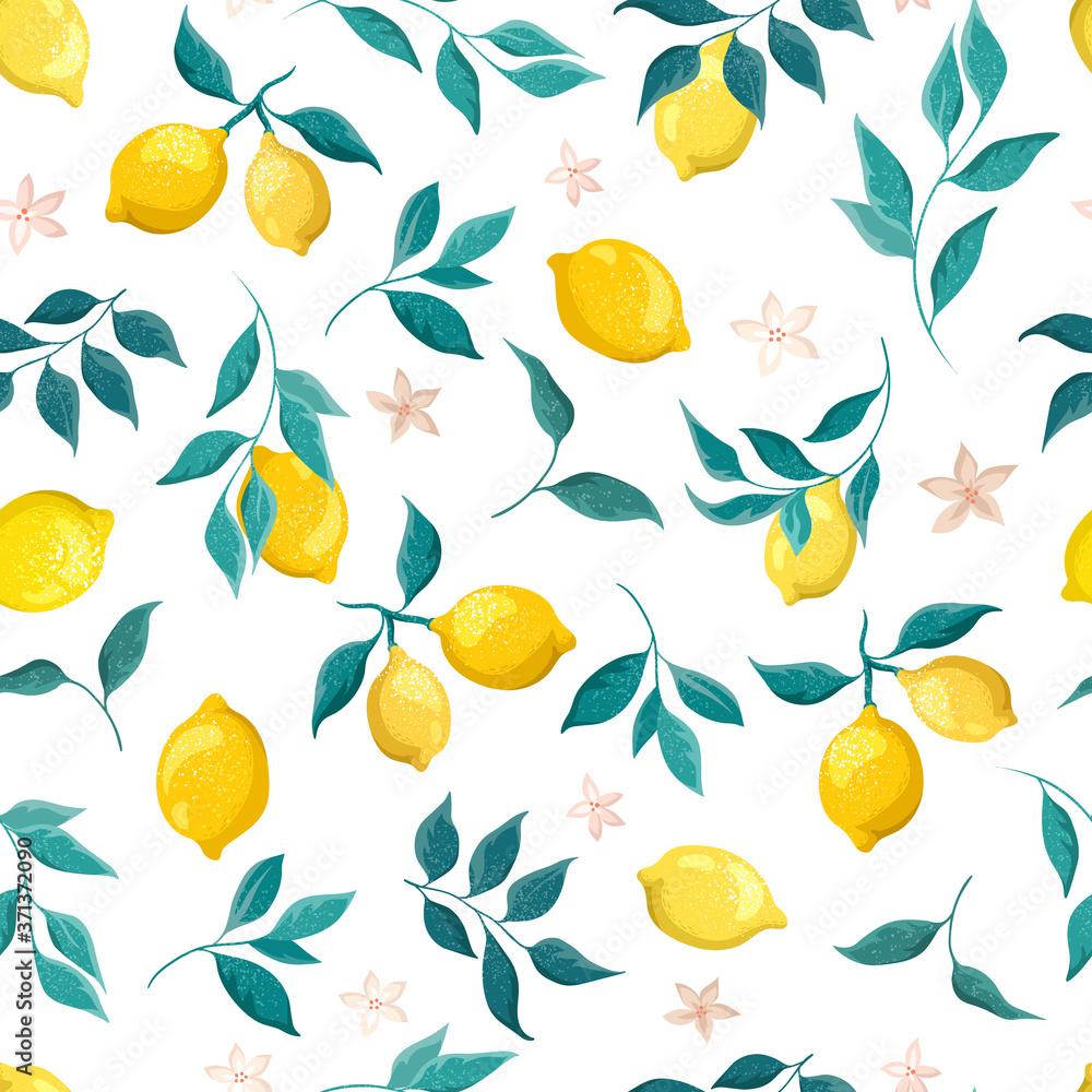 Lemons fruits with leaves on a white background. Botanical illustration, seamless pattern. Lemons fruits with leaves on a white background. Botanical illustration, seamless pattern.