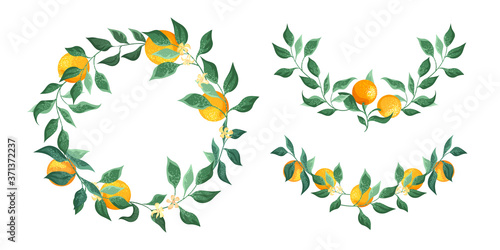 Collection of wreaths and frames from orange branches and flowers isolated on a white background. Greeting card, place for text.