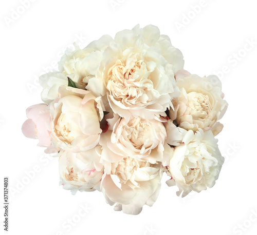 Bouquet of beautiful peonies on white background