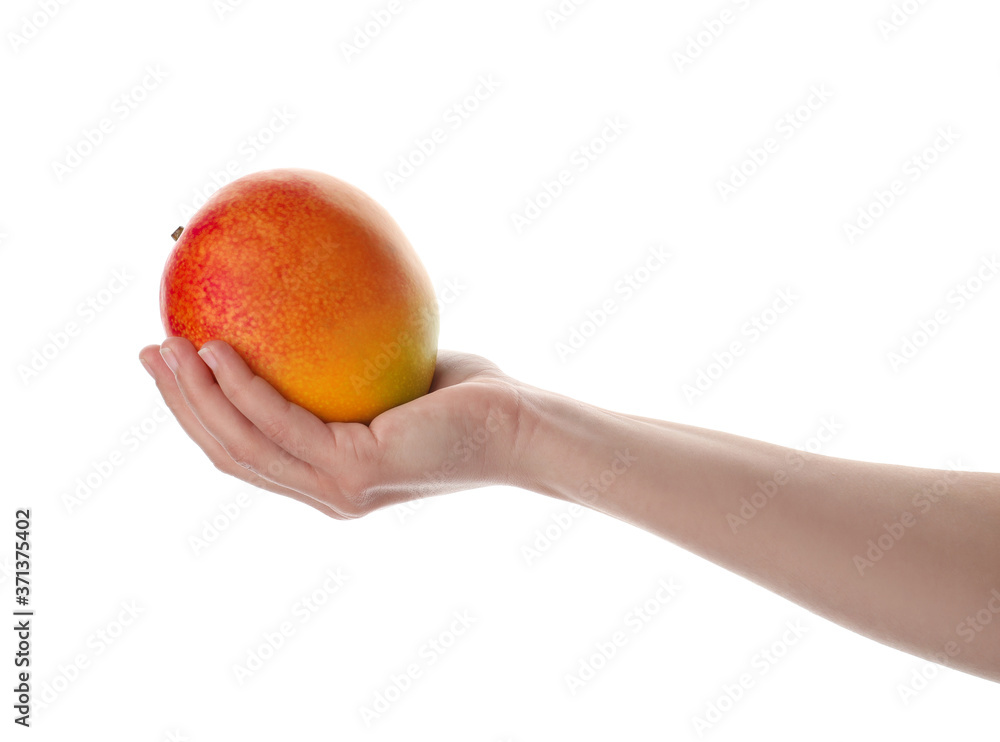 Woman holding ripe exotic mango on white background, closeup Woman holding ripe exotic mango on white background, closeup